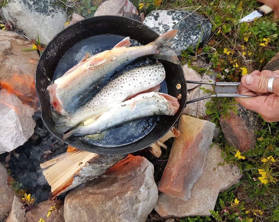 Öring & röding Fjällfisk