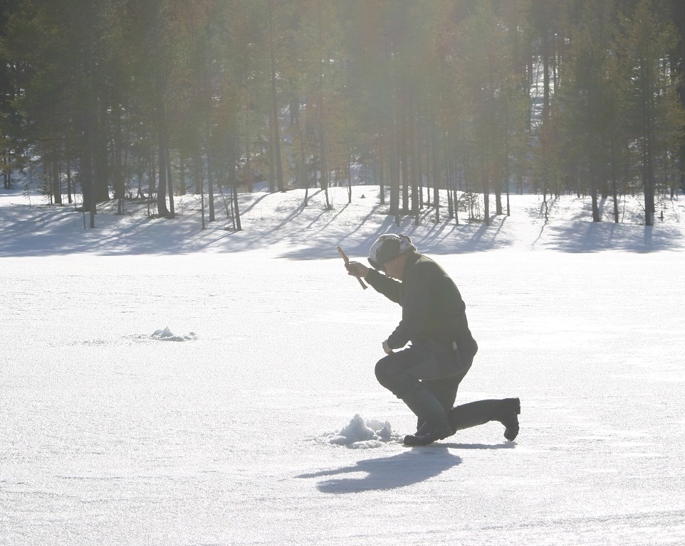 Pimpelfiske