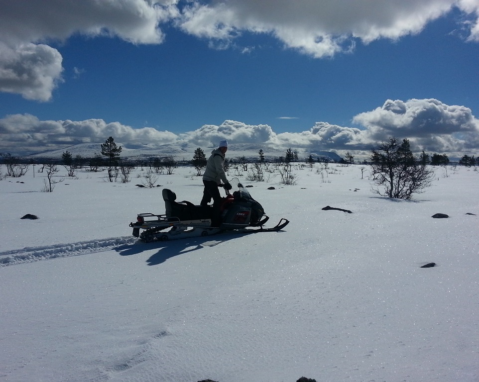 Upptäck fjället Fjälltur med skoter